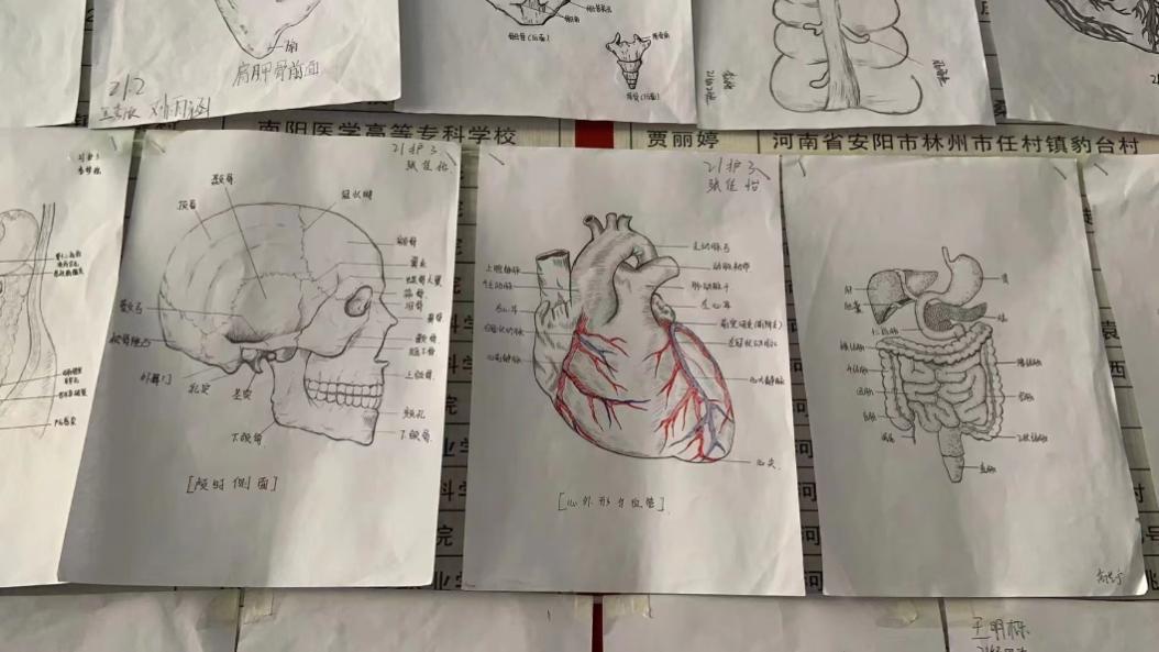 焦作护理学校质量年度报告（2023年）(1)(1)(1)-8